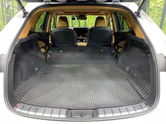 TOYOTA LEXUS NX250 2023 Image 31