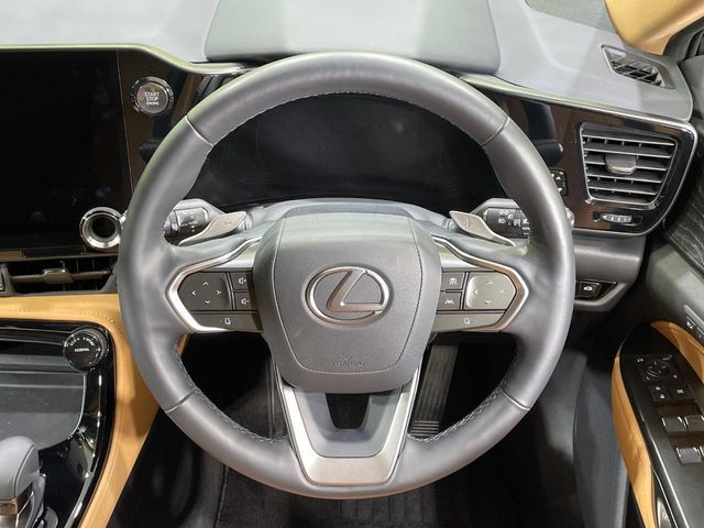 TOYOTA LEXUS NX250 2023 Image 31