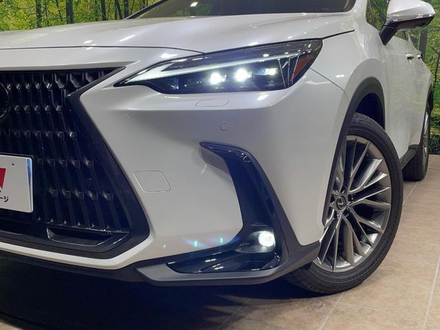 TOYOTA LEXUS NX250 2023 Image 31