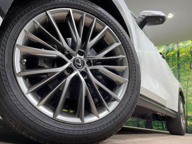 TOYOTA LEXUS NX250 2023 Image 31