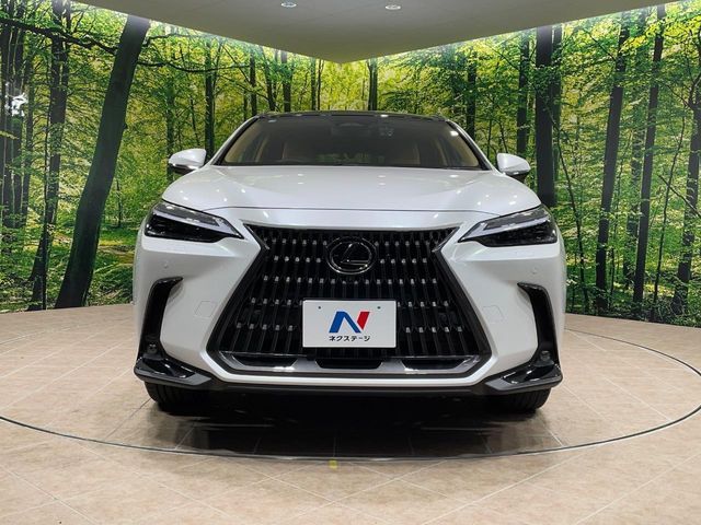 TOYOTA LEXUS NX250 2023 Image 31
