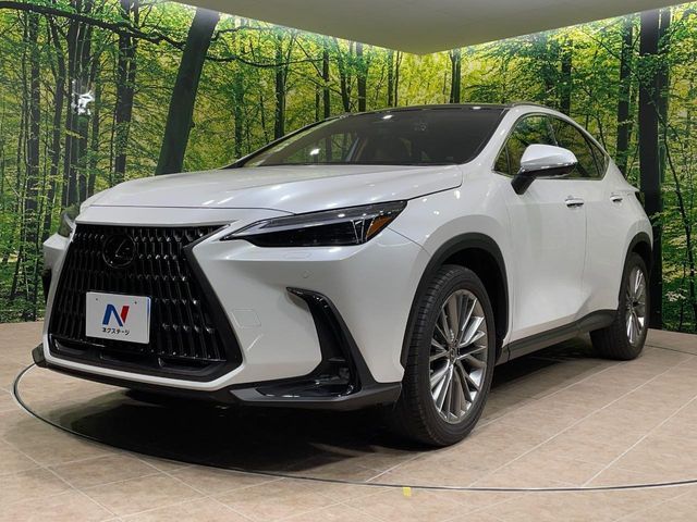 TOYOTA LEXUS NX250 2023 Image 31