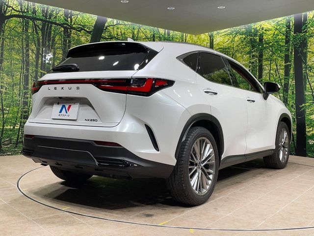 TOYOTA LEXUS NX250 2023 Image 31