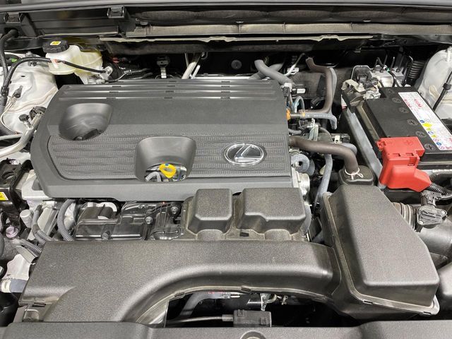 TOYOTA LEXUS NX250 2023 Image 31