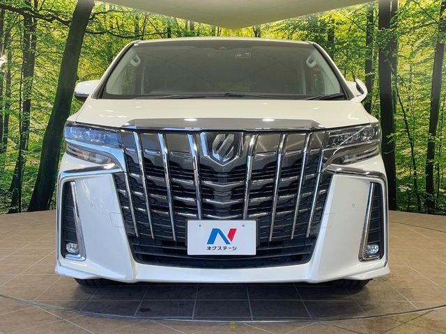 TOYOTA ALPHARD 2019 Image 31