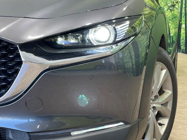 MAZDA CX-30 2020 Image 31