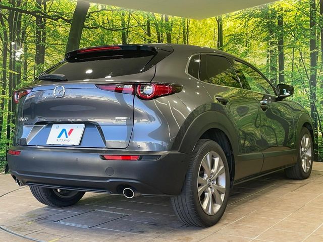 MAZDA CX-30 2020 Image 31