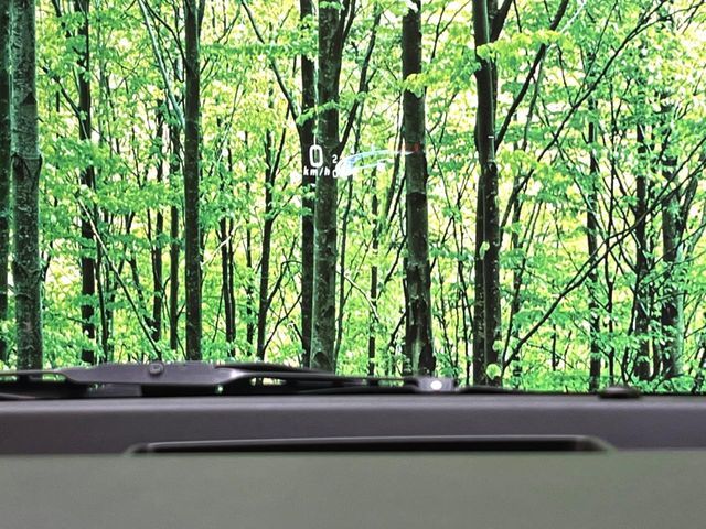 SUZUKI SPACIA CUSTOM 2018 Image 31