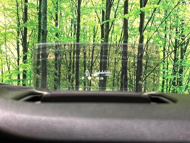 SUZUKI SOLIO 2021 Image 31