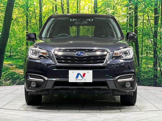SUBARU FORESTER 2017 Image 31