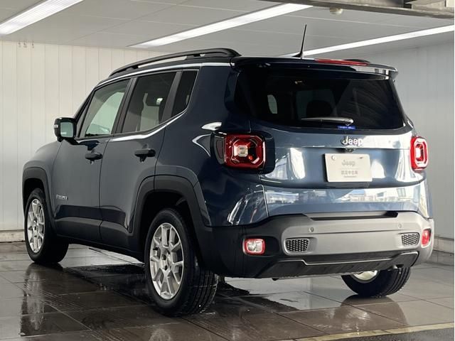 JEEP RENEGADE 2025 Image 31