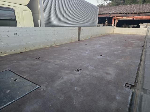 HINO PROFIA 2010 Image 31