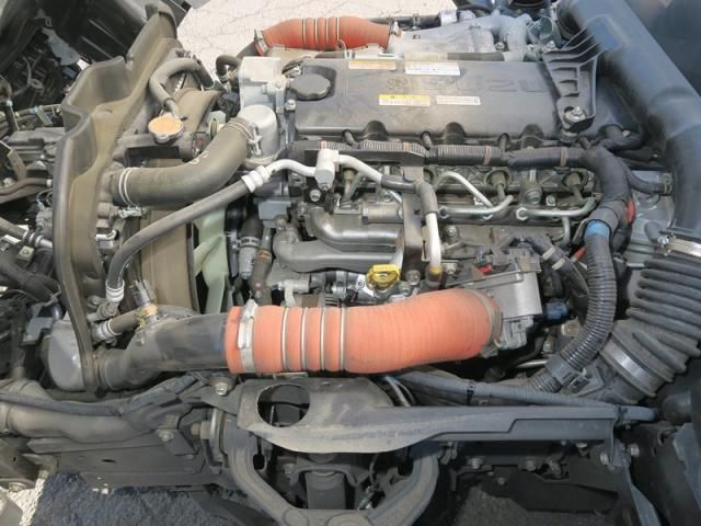 ISUZU ELF 2025 Image 31