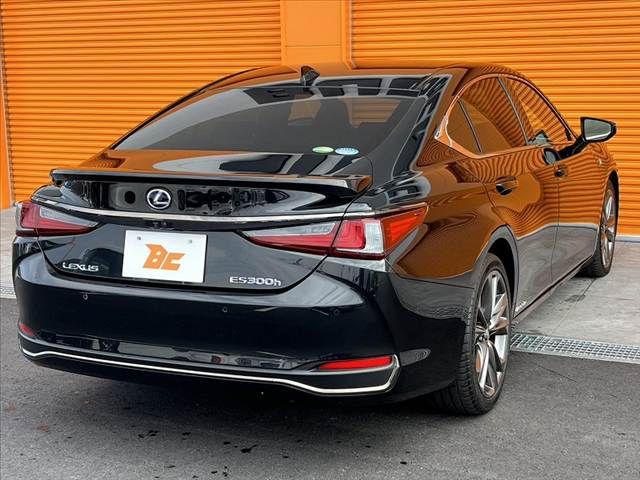 TOYOTA LEXUS ES300H 2019 Image 31