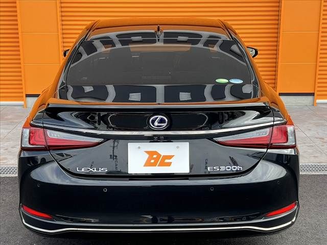 TOYOTA LEXUS ES300H 2019 Image 31