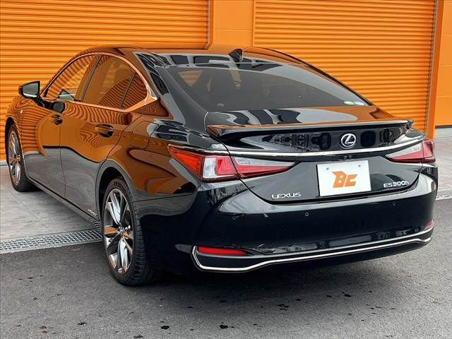 TOYOTA LEXUS ES300H 2019 Image 31