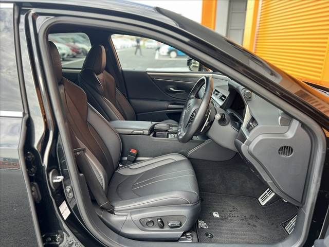 TOYOTA LEXUS ES300H 2019 Image 31