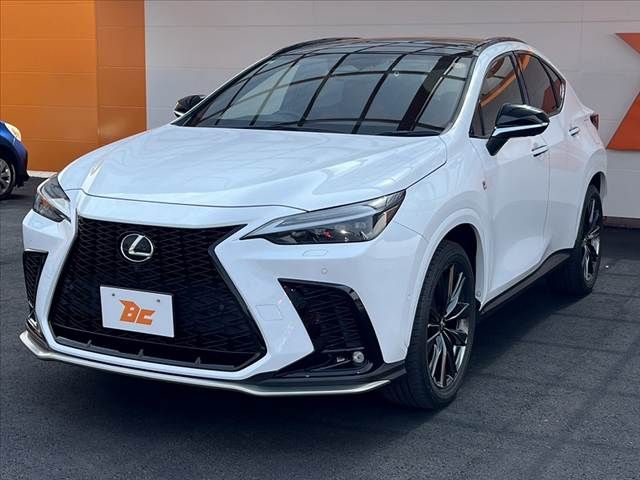 TOYOTA LEXUS NX350H AWD 2021 Image 31