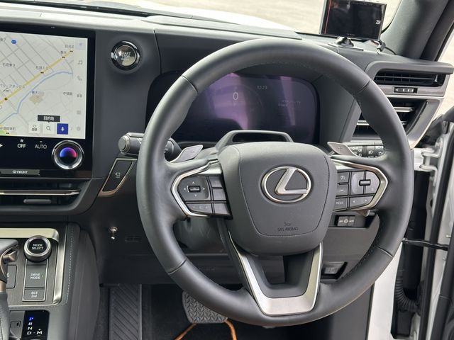 TOYOTA LEXUS GX550 2025 Image 31