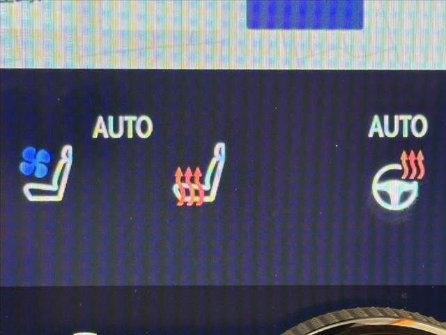 TOYOTA LEXUS NX250 2022 Image 31