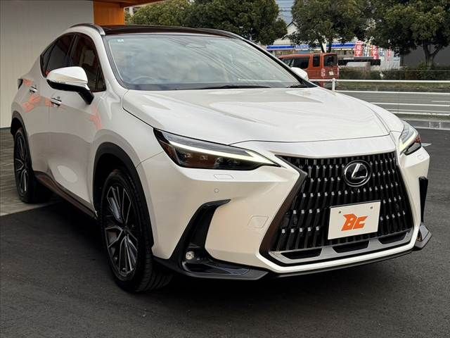 TOYOTA LEXUS NX250 2022 Image 31