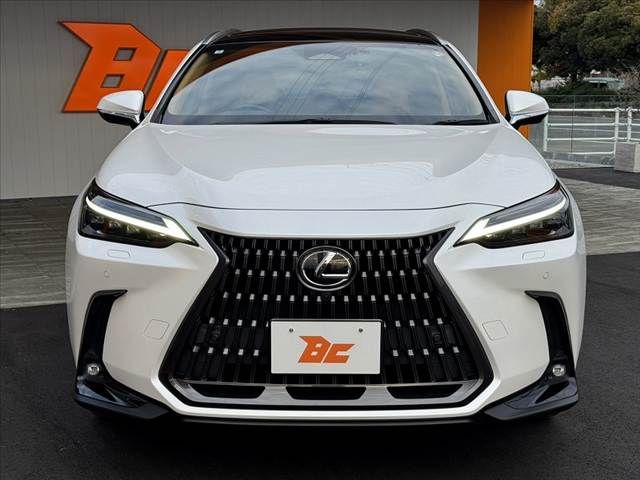 TOYOTA LEXUS NX250 2022 Image 31