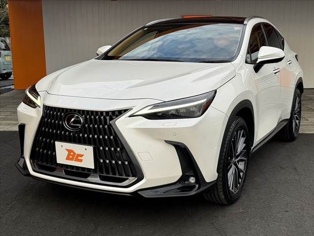 TOYOTA LEXUS NX250 2022 Image 31