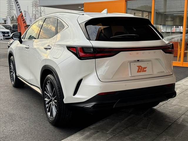 TOYOTA LEXUS NX250 2022 Image 31