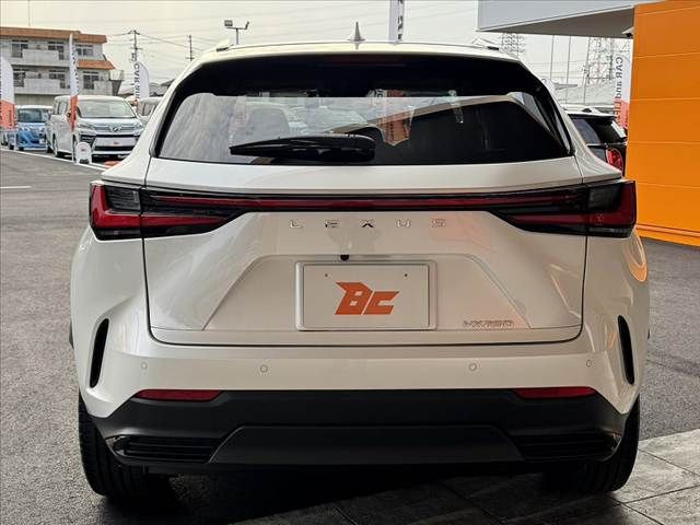 TOYOTA LEXUS NX250 2022 Image 31