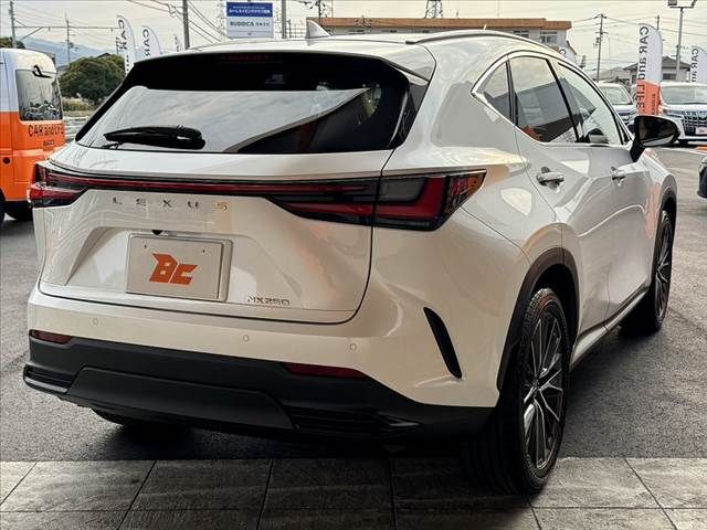 TOYOTA LEXUS NX250 2022 Image 31