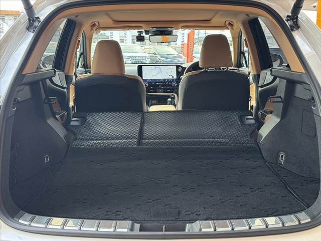 TOYOTA LEXUS NX250 2022 Image 31