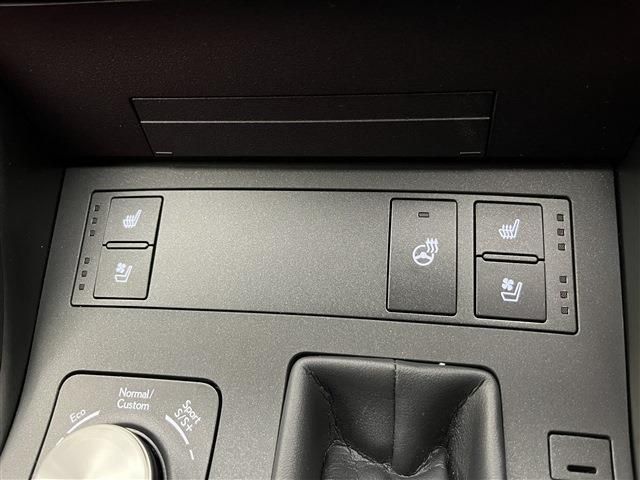 TOYOTA LEXUS IS300H 2021 Image 31