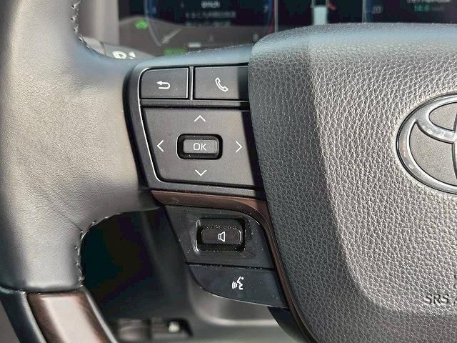 TOYOTA ALPHARD HYBRID 2024 Image 31