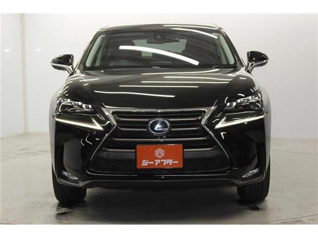 TOYOTA LEXUS NX300H 2014 Image 31