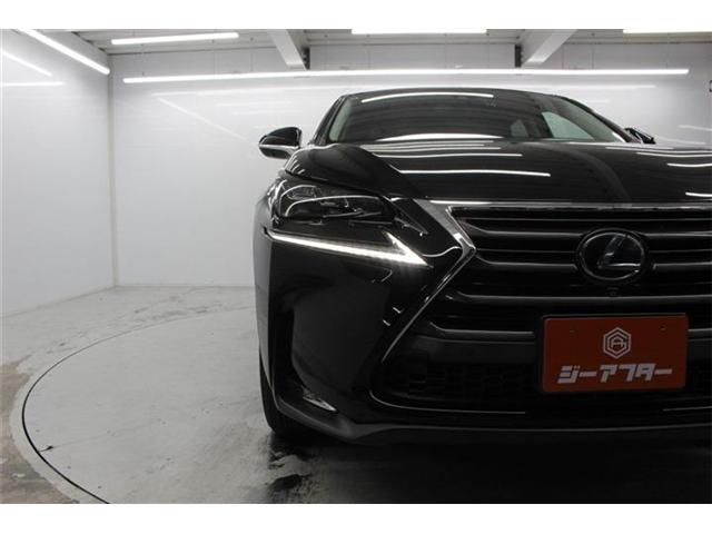 TOYOTA LEXUS NX300H 2014 Image 31