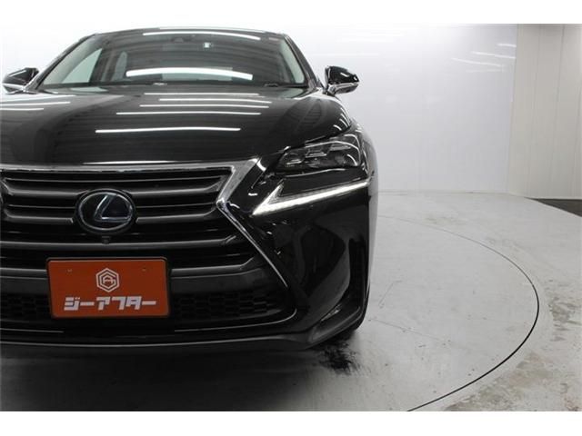 TOYOTA LEXUS NX300H 2014 Image 31