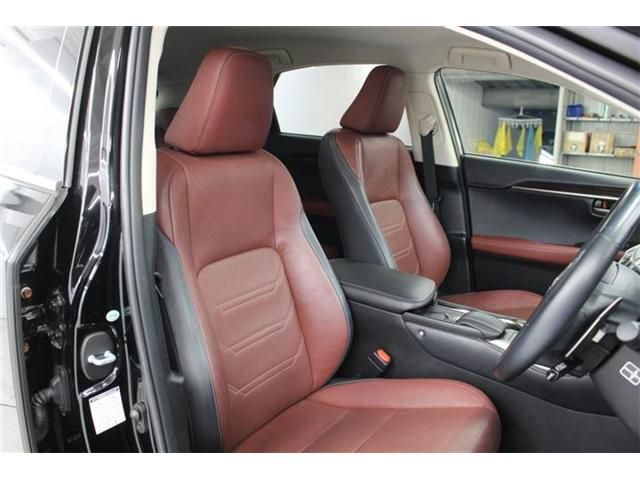 TOYOTA LEXUS NX300H 2014 Image 31