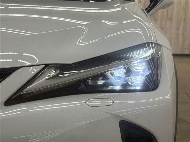 TOYOTA LEXUS UX250H AWD 2019 Image 31