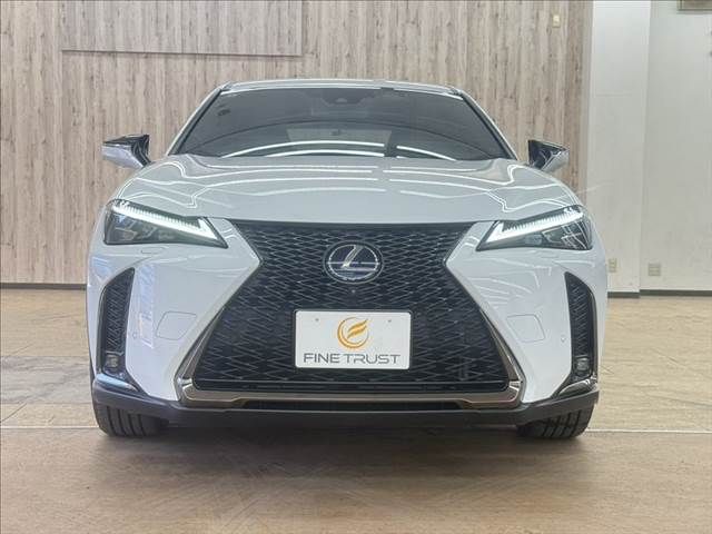 TOYOTA LEXUS UX250H AWD 2019 Image 31