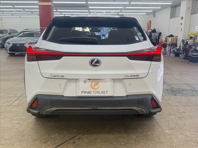 TOYOTA LEXUS UX250H AWD 2019 Image 31