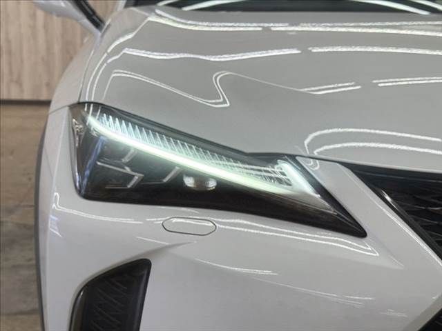TOYOTA LEXUS UX250H AWD 2019 Image 31