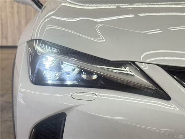 TOYOTA LEXUS UX250H AWD 2019 Image 31