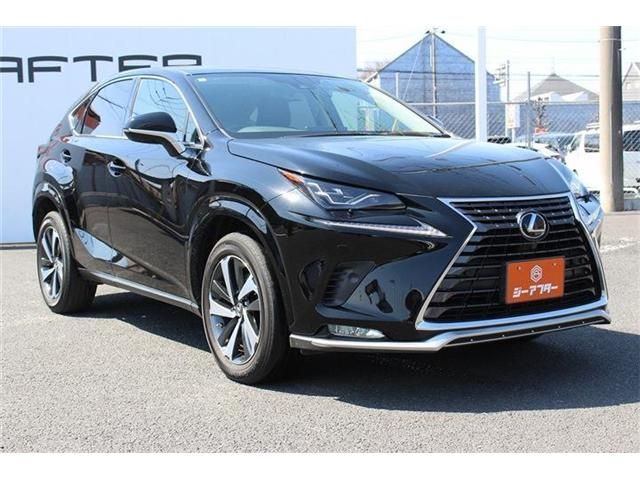TOYOTA LEXUS NX300 2020 Image 31