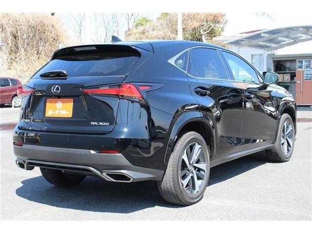 TOYOTA LEXUS NX300 2020 Image 31
