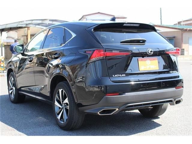 TOYOTA LEXUS NX300 2020 Image 31