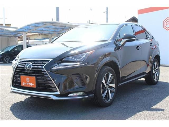 TOYOTA LEXUS NX300 2020 Image 31