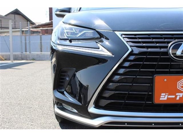 TOYOTA LEXUS NX300 2020 Image 31