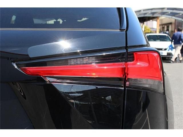 TOYOTA LEXUS NX300 2020 Image 31