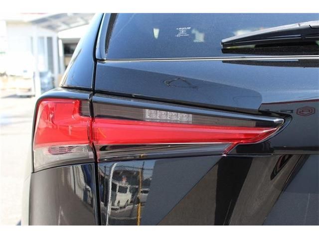 TOYOTA LEXUS NX300 2020 Image 31