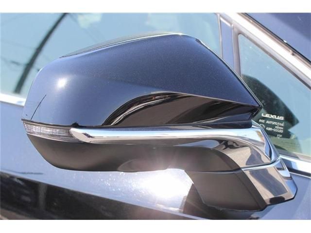 TOYOTA LEXUS NX300 2020 Image 31